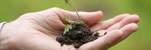 Beispielbild Entwicklungsgespräch